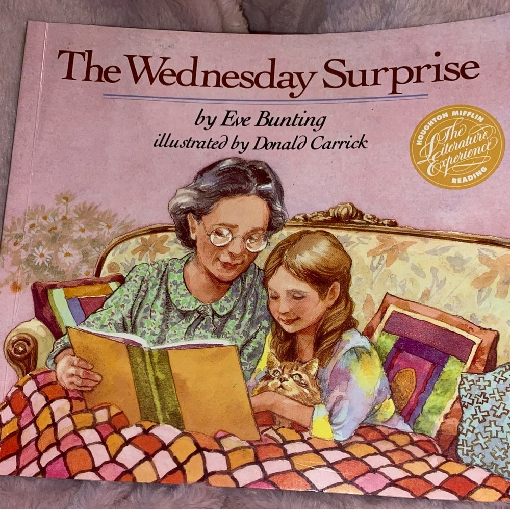 📚2/$10📚 The Wednesday Surprise - Paperback Book